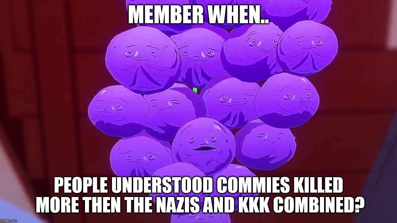 MEMBER WHEN.. PEOPLE UNDERSTOOD COMMIES KILLED MORE THEN THE NAZIS AND KKK COMBINED? | made w/ Imgflip meme maker