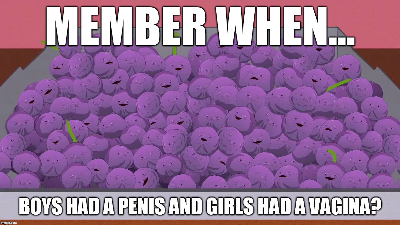 MEMBER WHEN... BOYS HAD A PENIS AND GIRLS HAD A VAGINA? | made w/ Imgflip meme maker