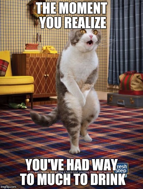 Gotta Go Cat | THE MOMENT YOU REALIZE; YOU'VE HAD WAY TO MUCH TO DRINK | image tagged in memes,gotta go cat | made w/ Imgflip meme maker