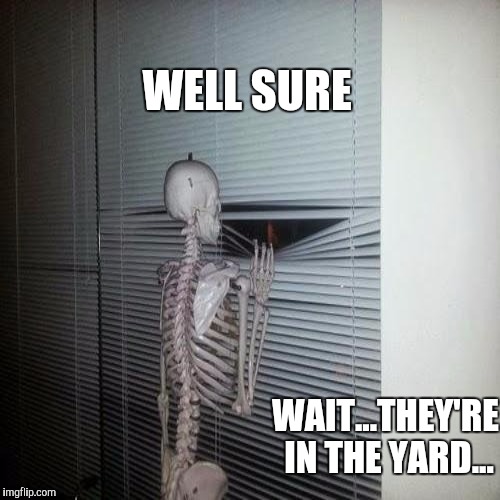 WELL SURE WAIT...THEY'RE IN THE YARD... | made w/ Imgflip meme maker