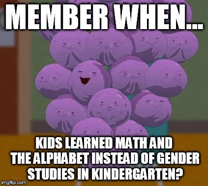 MEMBER WHEN... KIDS LEARNED MATH AND THE ALPHABET INSTEAD OF GENDER STUDIES IN KINDERGARTEN? | made w/ Imgflip meme maker