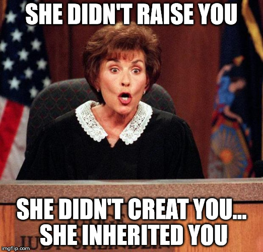 Judge Judy | SHE DIDN'T RAISE YOU; SHE DIDN'T CREAT YOU... SHE INHERITED YOU | image tagged in judge judy | made w/ Imgflip meme maker