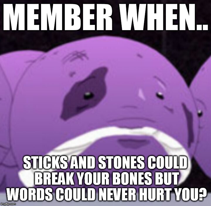 MEMBER WHEN.. STICKS AND STONES COULD BREAK YOUR BONES BUT WORDS COULD NEVER HURT YOU? | made w/ Imgflip meme maker