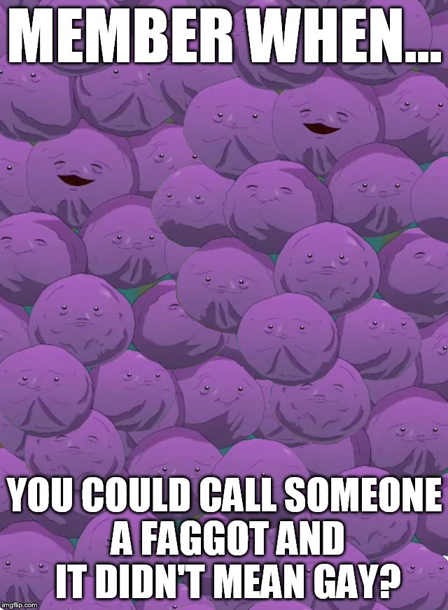 MEMBER WHEN... YOU COULD CALL SOMEONE A FAGGOT AND IT DIDN'T MEAN GAY? | made w/ Imgflip meme maker