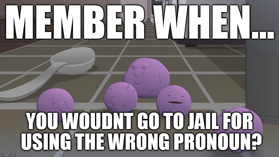 MEMBER WHEN... YOU WOUDNT GO TO JAIL FOR USING THE WRONG PRONOUN? | made w/ Imgflip meme maker