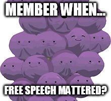 MEMBER WHEN... FREE SPEECH MATTERED? | made w/ Imgflip meme maker