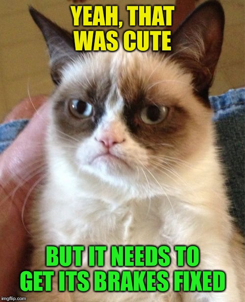 Grumpy Cat Meme | YEAH, THAT WAS CUTE BUT IT NEEDS TO GET ITS BRAKES FIXED | image tagged in memes,grumpy cat | made w/ Imgflip meme maker