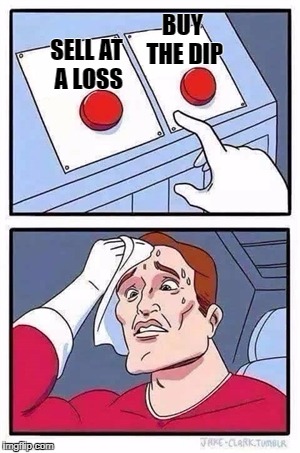 Two Buttons Meme | BUY THE DIP; SELL AT A LOSS | image tagged in two buttons | made w/ Imgflip meme maker