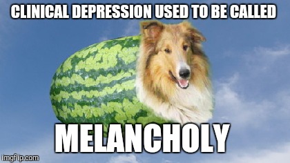 CLINICAL DEPRESSION USED TO BE CALLED; MELANCHOLY | image tagged in melon-colly | made w/ Imgflip meme maker