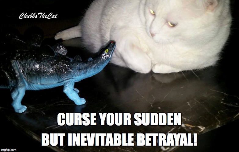 Sudden But Inevitable Cat-trayal | BUT INEVITABLE BETRAYAL! CURSE YOUR SUDDEN | image tagged in funny cats,dinosaur,firefly,serenity,movie quotes,cat | made w/ Imgflip meme maker