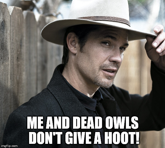 Justified - Raylan Givens | ME AND DEAD OWLS DON'T GIVE A HOOT! | image tagged in justified - raylan givens | made w/ Imgflip meme maker
