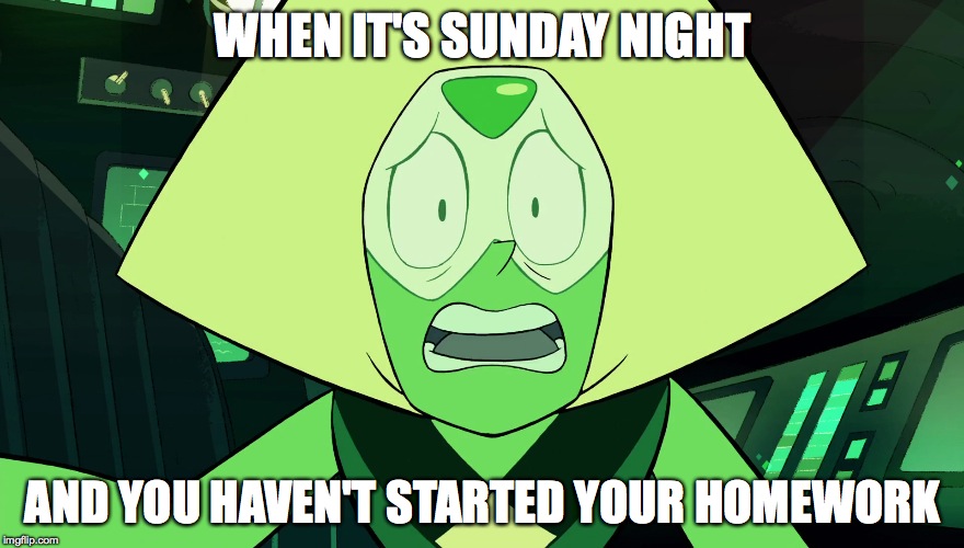 Stressed Peri | WHEN IT'S SUNDAY NIGHT; AND YOU HAVEN'T STARTED YOUR HOMEWORK | image tagged in humor | made w/ Imgflip meme maker
