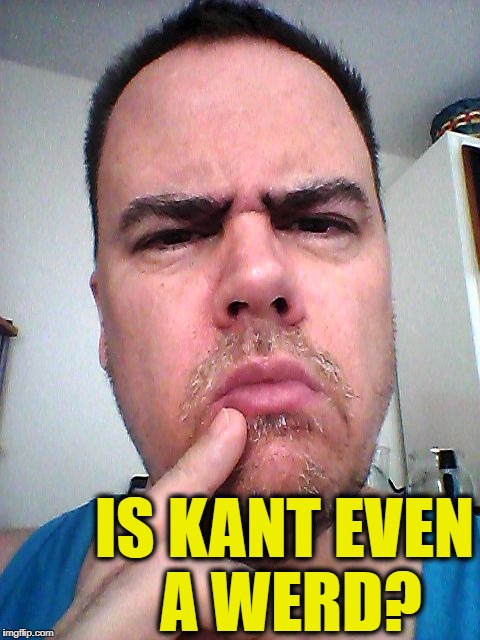 puzzled | IS KANT EVEN A WERD? | image tagged in puzzled | made w/ Imgflip meme maker