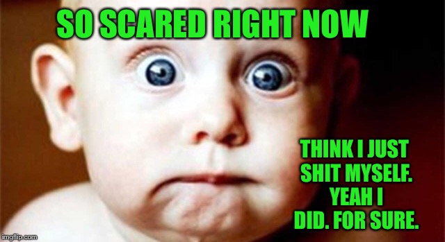 SO SCARED RIGHT NOW THINK I JUST SHIT MYSELF. YEAH I DID. FOR SURE. | made w/ Imgflip meme maker