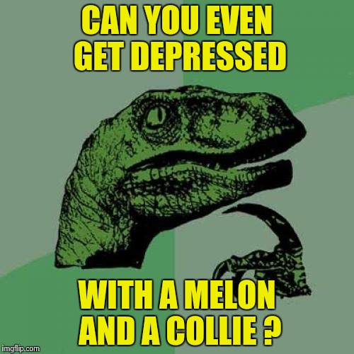 Philosoraptor Meme | CAN YOU EVEN GET DEPRESSED WITH A MELON AND A COLLIE ? | image tagged in memes,philosoraptor | made w/ Imgflip meme maker