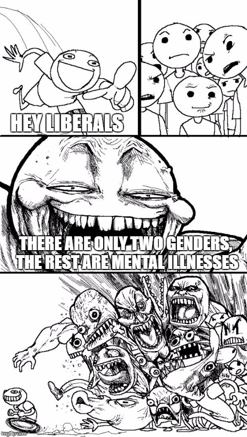 Hey Internet | HEY LIBERALS; THERE ARE ONLY TWO GENDERS, THE REST ARE MENTAL ILLNESSES | image tagged in memes,hey internet,liberals,transgender,facts | made w/ Imgflip meme maker
