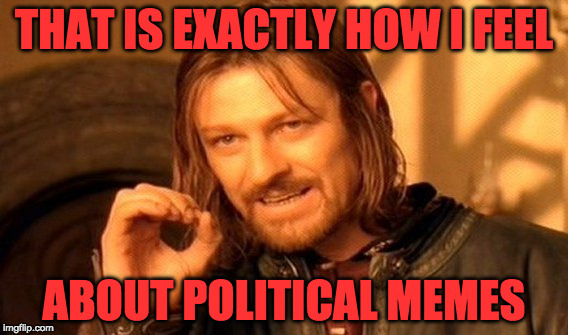One Does Not Simply Meme | THAT IS EXACTLY HOW I FEEL ABOUT POLITICAL MEMES | image tagged in memes,one does not simply | made w/ Imgflip meme maker