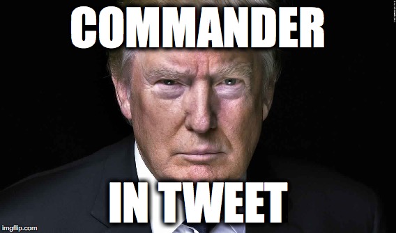 President Bird Brain | COMMANDER; IN TWEET | image tagged in trump,trumpmeme,trumpmemes,birdbrain,commanderintweet | made w/ Imgflip meme maker