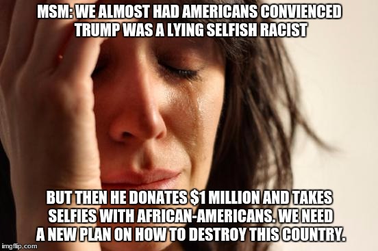 First World Problems Meme | MSM: WE ALMOST HAD AMERICANS CONVIENCED TRUMP WAS A LYING SELFISH RACIST; BUT THEN HE DONATES $1 MILLION AND TAKES SELFIES WITH AFRICAN-AMERICANS. WE NEED A NEW PLAN ON HOW TO DESTROY THIS COUNTRY. | image tagged in memes,first world problems | made w/ Imgflip meme maker