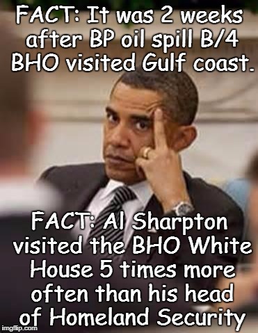 obama stick it up | FACT: It was 2 weeks after BP oil spill B/4 BHO visited Gulf coast. FACT: Al Sharpton visited the BHO White House 5 times more often than his head of Homeland Security | image tagged in obama stick it up | made w/ Imgflip meme maker