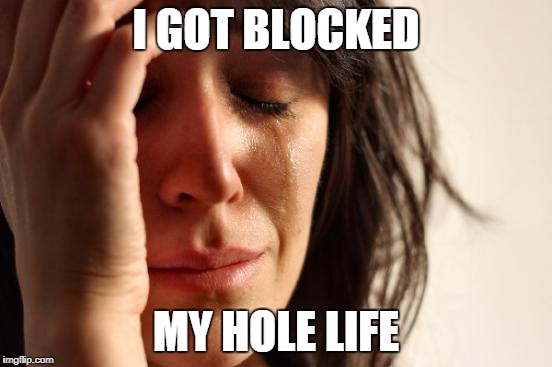 First World Problems Meme | I GOT BLOCKED MY HOLE LIFE | image tagged in memes,first world problems | made w/ Imgflip meme maker
