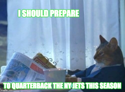 I Should Report to Training Camp Cat
 | I SHOULD PREPARE; TO QUARTERBACK THE NY JETS THIS SEASON | image tagged in memes,i should buy a boat cat | made w/ Imgflip meme maker