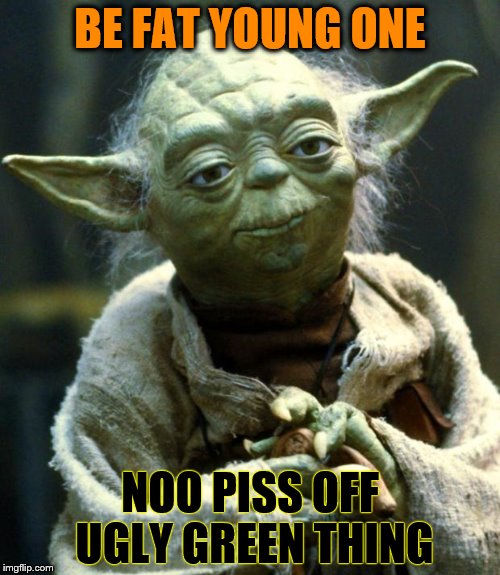 Star Wars Yoda Meme | BE FAT YOUNG ONE; NOO PISS OFF UGLY GREEN THING | image tagged in memes,star wars yoda | made w/ Imgflip meme maker