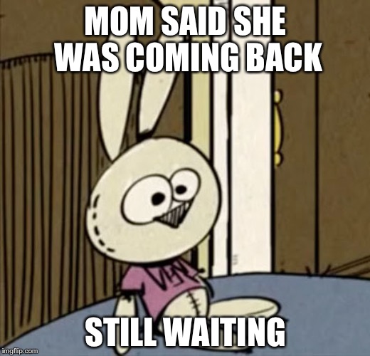 MOM SAID SHE WAS COMING BACK; STILL WAITING | image tagged in bunbun | made w/ Imgflip meme maker