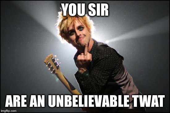 YOU SIR; ARE AN UNBELIEVABLE TWAT | image tagged in billie joe middle finger | made w/ Imgflip meme maker