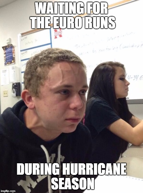 Vein guy | WAITING FOR THE EURO RUNS; DURING HURRICANE SEASON | image tagged in vein guy | made w/ Imgflip meme maker