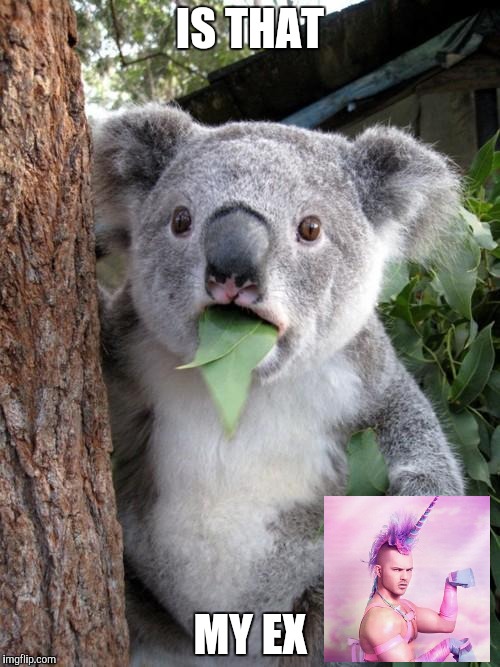 Surprised Koala Meme | IS THAT; MY EX | image tagged in memes,surprised koala | made w/ Imgflip meme maker