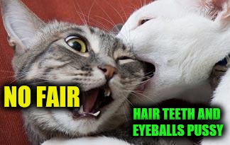 NO FAIR HAIR TEETH AND EYEBALLS PUSSY | made w/ Imgflip meme maker