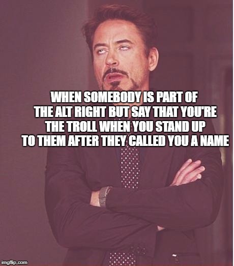 Face You Make Robert Downey Jr Meme | WHEN SOMEBODY IS PART OF THE ALT RIGHT BUT SAY THAT YOU'RE THE TROLL WHEN YOU STAND UP TO THEM AFTER THEY CALLED YOU A NAME | image tagged in memes,face you make robert downey jr | made w/ Imgflip meme maker