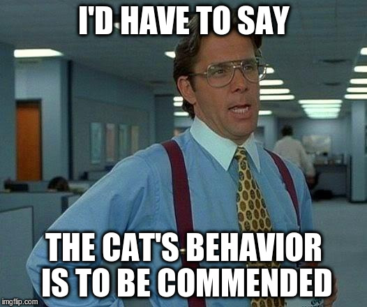 That Would Be Great Meme | I'D HAVE TO SAY THE CAT'S BEHAVIOR IS TO BE COMMENDED | image tagged in memes,that would be great | made w/ Imgflip meme maker
