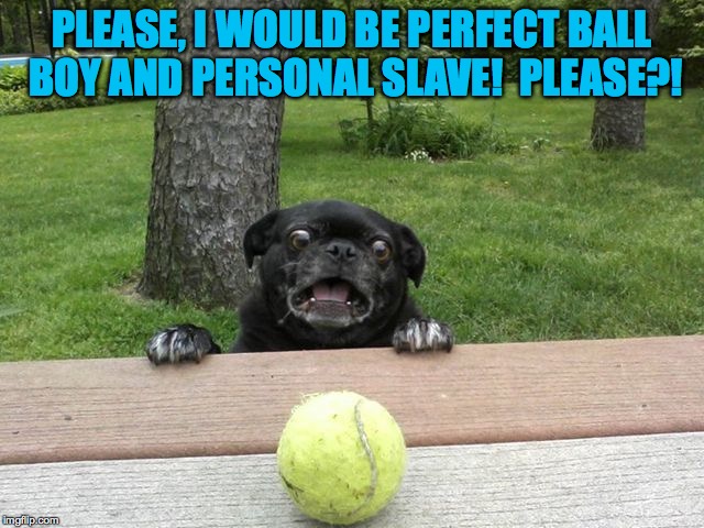 PLEASE, I WOULD BE PERFECT BALL BOY AND PERSONAL SLAVE!  PLEASE?! | made w/ Imgflip meme maker