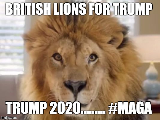 Food Lion My 2 Cents | BRITISH LIONS FOR TRUMP; TRUMP 2020......... #MAGA | image tagged in food lion my 2 cents | made w/ Imgflip meme maker