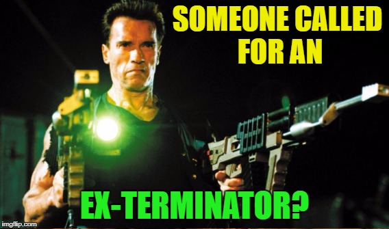 SOMEONE CALLED FOR AN EX-TERMINATOR? | made w/ Imgflip meme maker