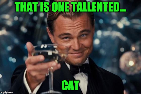 Leonardo Dicaprio Cheers Meme | THAT IS ONE TALLENTED... CAT | image tagged in memes,leonardo dicaprio cheers | made w/ Imgflip meme maker