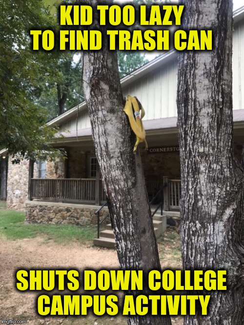 True story---please google---you won't believe it! | KID TOO LAZY TO FIND TRASH CAN; SHUTS DOWN COLLEGE CAMPUS ACTIVITY | image tagged in banana | made w/ Imgflip meme maker