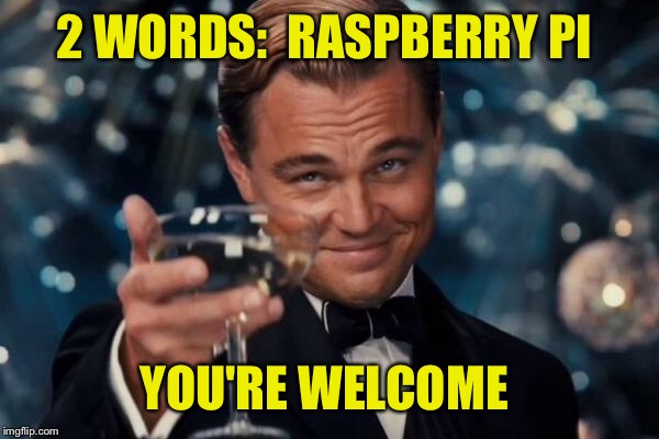 Leonardo Dicaprio Cheers Meme | 2 WORDS:  RASPBERRY PI YOU'RE WELCOME | image tagged in memes,leonardo dicaprio cheers | made w/ Imgflip meme maker