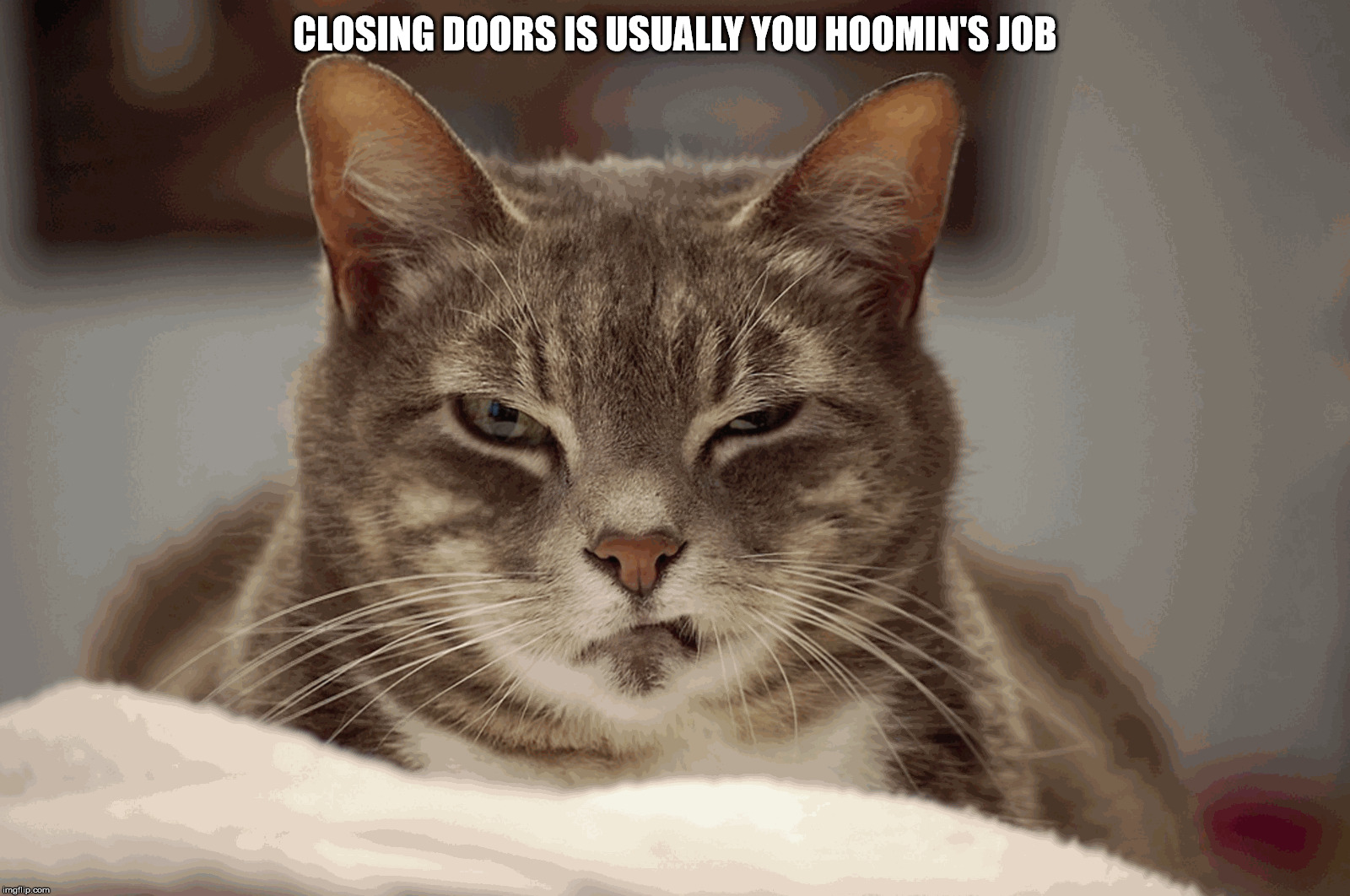 CLOSING DOORS IS USUALLY YOU HOOMIN'S JOB | made w/ Imgflip meme maker