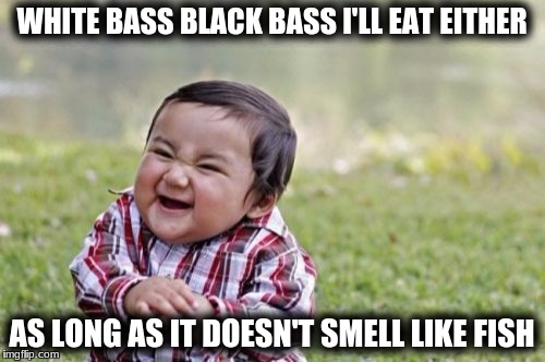 Evil Toddler Meme | WHITE BASS BLACK BASS I'LL EAT EITHER AS LONG AS IT DOESN'T SMELL LIKE FISH | image tagged in memes,evil toddler | made w/ Imgflip meme maker