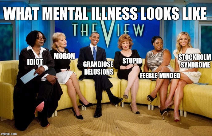 idiots | WHAT MENTAL ILLNESS LOOKS LIKE; MORON; FEEBLE-MINDED; STOCKHOLM SYNDROME; STUPID; IDIOT; GRANDIOSE DELUSIONS | image tagged in maga,retarded liberal protesters,stupid liberals,triggered liberal | made w/ Imgflip meme maker
