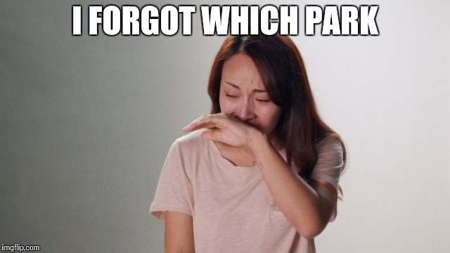 Crying | I FORGOT WHICH PARK | image tagged in crying | made w/ Imgflip meme maker