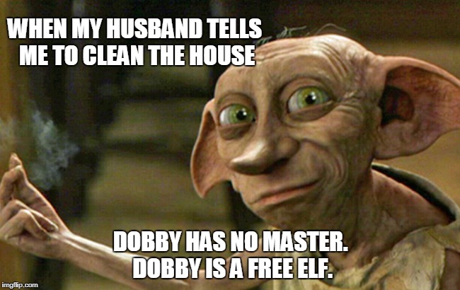 I'm In Love With Your Dobby | WHEN MY HUSBAND TELLS ME TO CLEAN THE HOUSE; DOBBY HAS NO MASTER. DOBBY IS A FREE ELF. | image tagged in i'm in love with your dobby | made w/ Imgflip meme maker