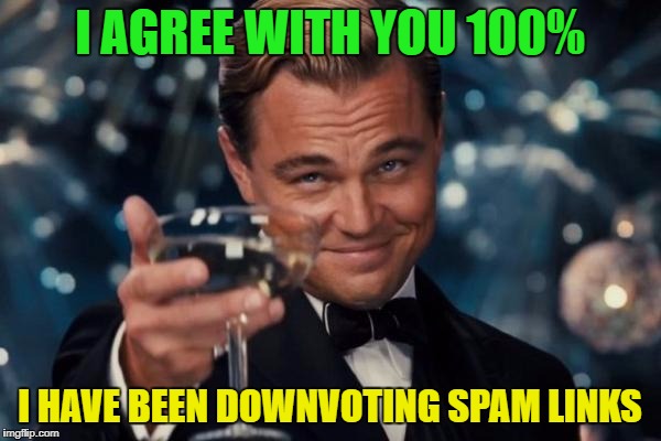 Leonardo Dicaprio Cheers Meme | I AGREE WITH YOU 100% I HAVE BEEN DOWNVOTING SPAM LINKS | image tagged in memes,leonardo dicaprio cheers | made w/ Imgflip meme maker