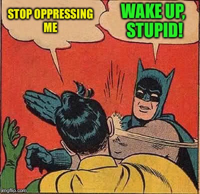 Batman Slapping Robin Meme | STOP OPPRESSING ME WAKE UP, STUPID! | image tagged in memes,batman slapping robin | made w/ Imgflip meme maker
