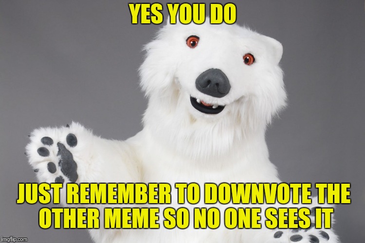 Polar Bear | YES YOU DO JUST REMEMBER TO DOWNVOTE THE OTHER MEME SO NO ONE SEES IT | image tagged in polar bear | made w/ Imgflip meme maker