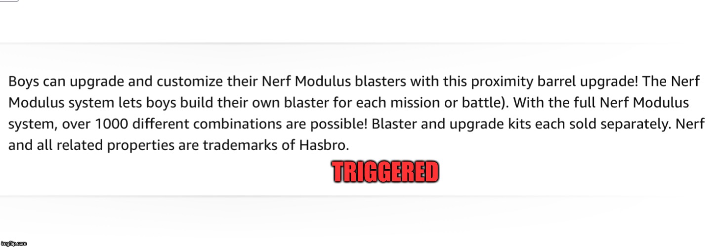 TRIGGERED - GIRLS CAN PLAY NERF TOO | TRIGGERED | image tagged in triggered,hasbro,nerf,boys,memes,funny memes | made w/ Imgflip meme maker