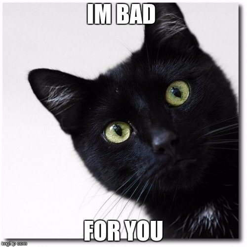Black Cats Matter | IM BAD; FOR YOU | image tagged in black cats matter | made w/ Imgflip meme maker